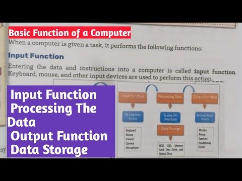Basic Function of a Computer Class3 Computer#Chapter1#acomputersydtem#ipo##newlivewirebook#aps#ncert
