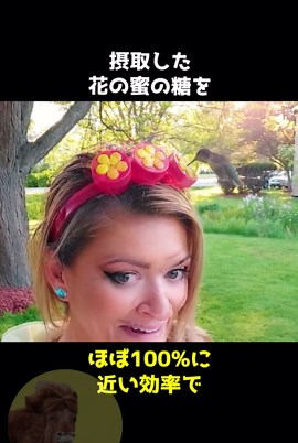 ハチドリの驚異的な特性と能力