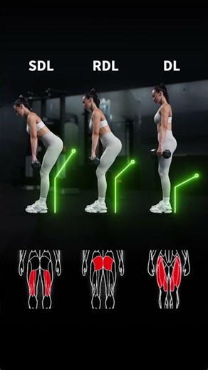 Want to know the differences between an SDL, RDL, and DL? I’ve got you covered💪🏼