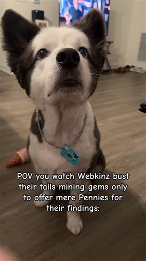 Happy Halloween from our Webkinz🧸❤️ #dachshund #bordercollie #costume #Halloween #dogs Webkinz | Liv