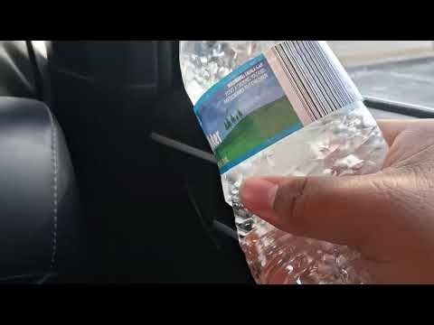 "UNIVERSAL ANIMATION POLICE TAKE THEM!!!" (2025)