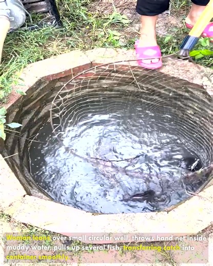 Woman Collects Fish Using Hand Net #FishCatching #HandNet #SmartWork #IndustrialProcess #PowerMotion | lamaestramiel