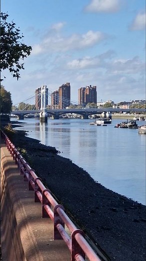 Across The Thames, From Albert To Chelsea Bridges