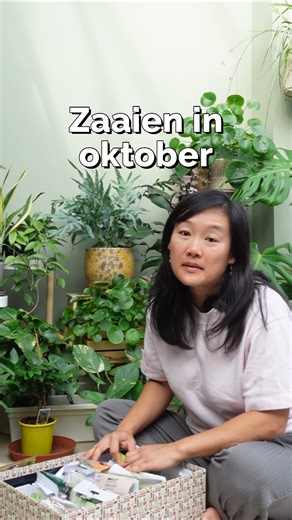 Dit kun je nog allemaal zaaien in oktober. #zaaikalenderoktober #moestuintips #zaaitips #moestuinieren #tuintips #tuinieren | Binnenbuitenbloei
