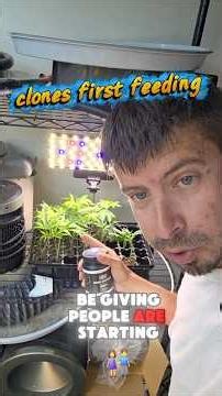 clones first feeding. King solomon, super microbes rootx and regen-a-root from cx horticulture.