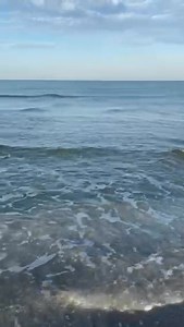 272K views · 2.5K reactions | Rare square wave spotted off of Venice beach today. "Square waves," also known as cross seas or grid waves, are a rare and dangerous ocean phenomenon where two sets of waves traveling at different angles collide, creating a grid-like pattern and unpredictable currents. This video from Mikie Russell Richards | Bob Harrigan - ABC 7 | Facebook