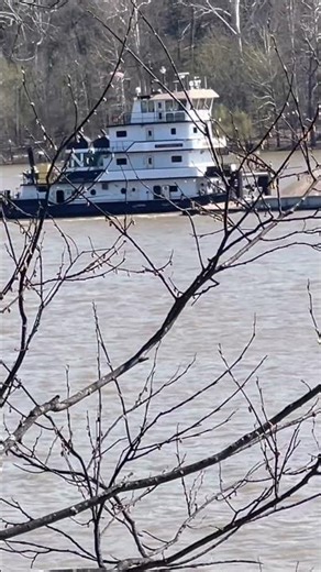 It was a windy day! #river #water #wind #boats #boating #riverlife