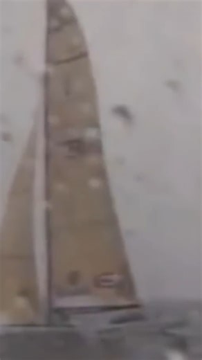 ⛵️ One Australia Sinking in 1995 | 29th America's Cup | America's Cup