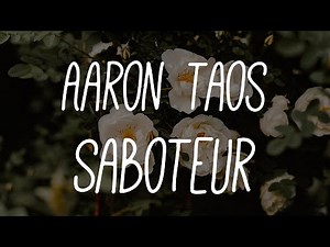Aaron Taos - Saboteur