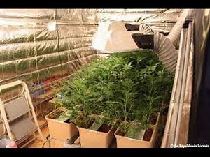 REPORTAGES enquete choc Trafic de Cannabis FRANCE complet