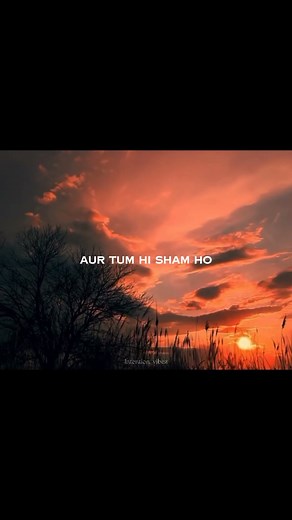 Meri Subha ho tum hi aur tum hi sham ho | Janam Janam | Lyrical edit | Intention_vibez #lovesong