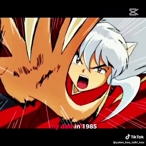 Inuyasha Character Resemblance Explained