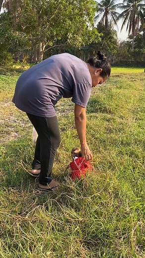 1.3M views · 8.8K reactions | SO CUTE BABY MONKEY. #monkeys #babymonkey #love #monkeylife #Icy #BryyanTV #animals #MonkeyLife #animallovers #funnyvideo #reels #monkeylove #funnyanimals #reelsfb #funny #shorts #monkey #reelsviral #thebestfunny #Monkeyreels #videosfunny #babylove | Monkey Fans | Facebook