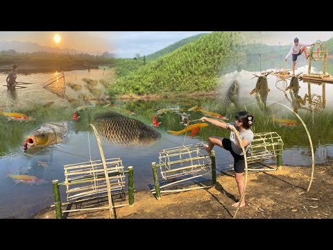 50 days of making fish traps on the rivers and lakes, how to make fish traps using bamboo#aqua