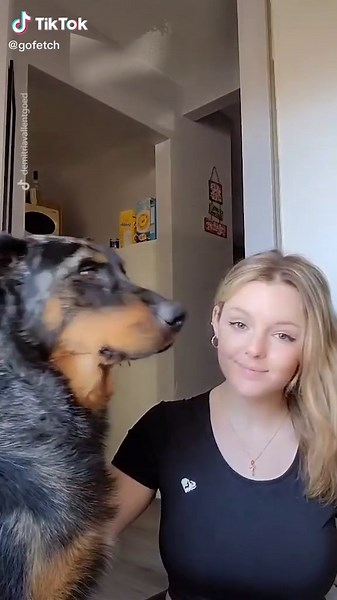 He was ready to fight 😂 (@demi) #fyp #foryou #foryoupage #dogsoftiktok #funny #tiktok #dogs