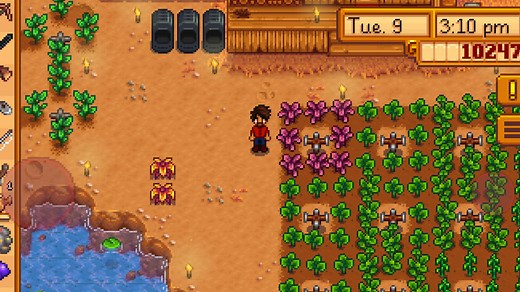 Stardew Valley Amaranth: When to Plant & How to Use