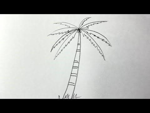 Coconut Tree Drawing 