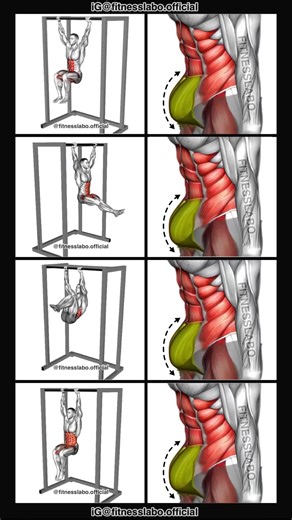 Effective Lower Abs Workout Routine for Beginners