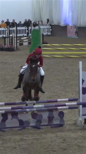 bareback challenge 2023 🎉 Jacko was amazing and went clear to come 9th! #barebackchallenge #fyp #equestrian #showjumper #eventer #buryfarmbarebackchallenge2023