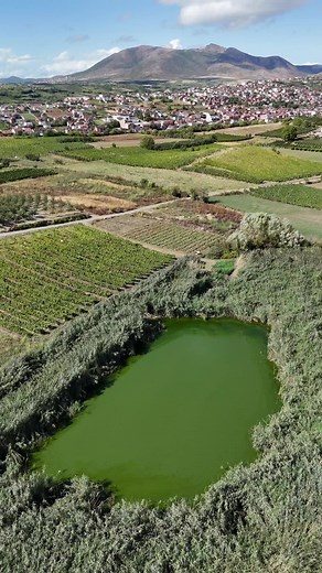 💚🌼🍃🌳 #rahovec #nature #naturelover #grapeland #storyofrahovec #viral #fyp #viraltiktok #kosovo