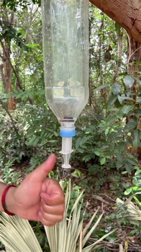 Essential Survival Skills for Outdoor Adventures