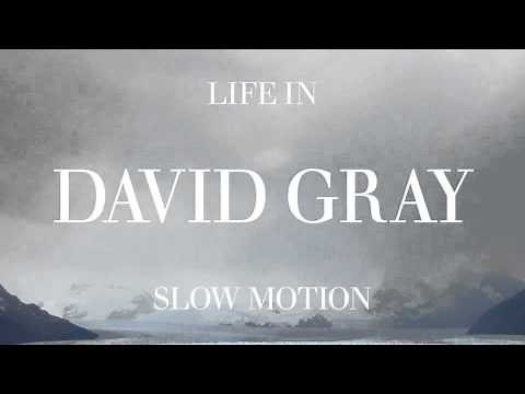 DAVID GRAY - Lately (Official Audio)