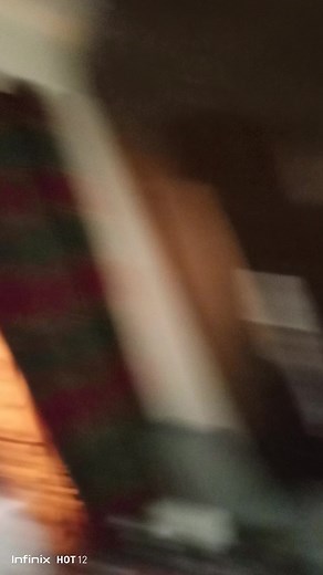 Adorable White Cat in Stylish Plaid Outfit