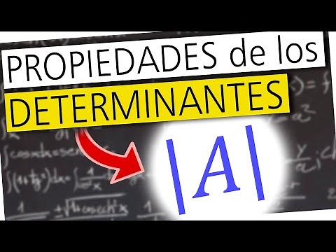 💡 The PROPERTIES of DETERMINANTS explained "step by step"