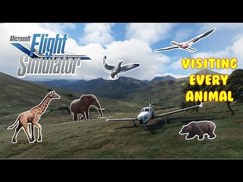 Microsoft Flight Simulator 2020 | Every Animal!