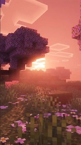 Minecraft Best Beautiful POTATO Shaders in 1.21#minecraftbuilding #shortsfeed #gaming #shorts