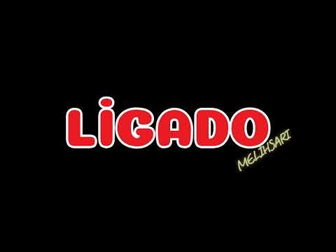 Melih Sarı - Ligado