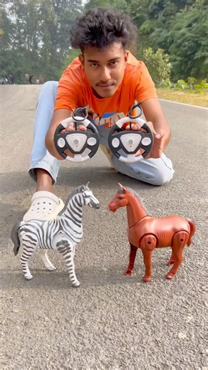 RC Remote Control Zebra 🦓 & Red Horse 🐎 Unboxing