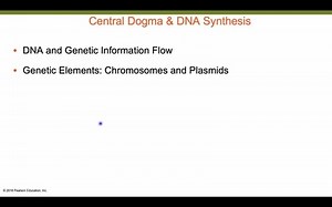 CentralDogmaAndReplicationOfDNA