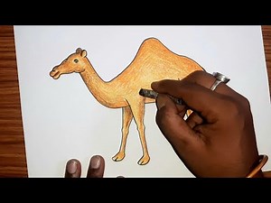 Camel colouring process step by step |