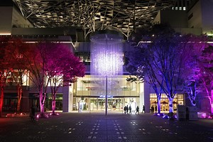 People, Resonating Trees and Crystal Fireworks | teamLab