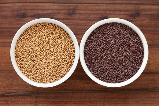 Mustard Seeds - Rai - Sarson - Raai