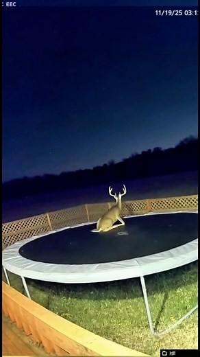 What is going on? | FUNNY MEMES & JOKES