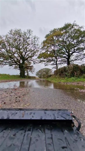 Zoom Zoom ! | Hobby Queen