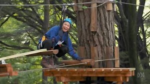 Let's Go: Design a treetop obstacle course - ABC Education