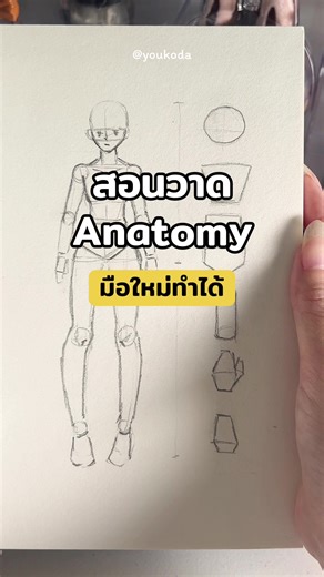 สอนวาดอนาโตมี่ง่ายๆ สำหรับมือใหม่