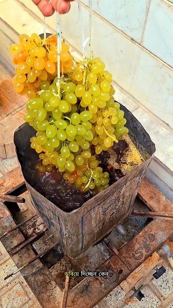 Why Do Uzbek Farmers Dip Grapes in Hot Liquid Before Making Raisins? 🍇#trending #facts
