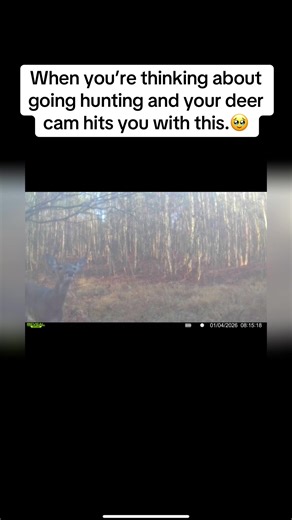 #girlswhohunt #deercam #fyp @tactacam | hunting