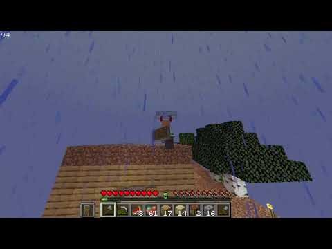 survie sur serveur minecraft java rejoignez