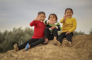 Humanitarian Programs and Projects