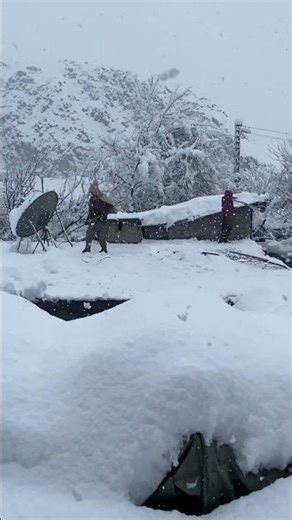 Magical Snowfall ❄️ | Winter Wonderland in Seconds!#snow #nature #viral #shorts