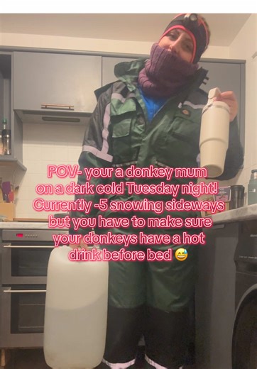 Winter Equestrian Choices: A Donkey Mum's Story