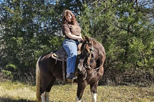 Beautiful Spotted Saddle Mare
