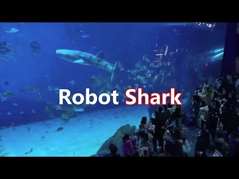 Bionic robot whale shark debuts at an aquarium in Shanghai, China | 仿生機器鯨鯊在中國上海的一家水族館首次亮相