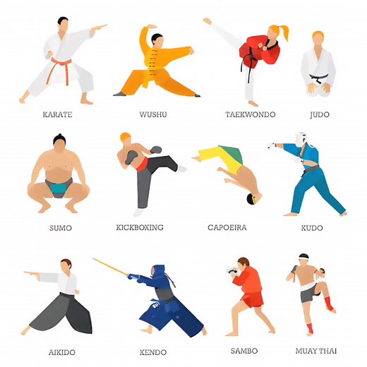 Aikido: The Art of Harmony and Self-Defense