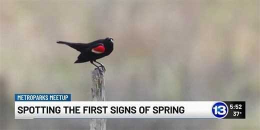 Metroparks Meetup: Spotting the first signs of Spring
